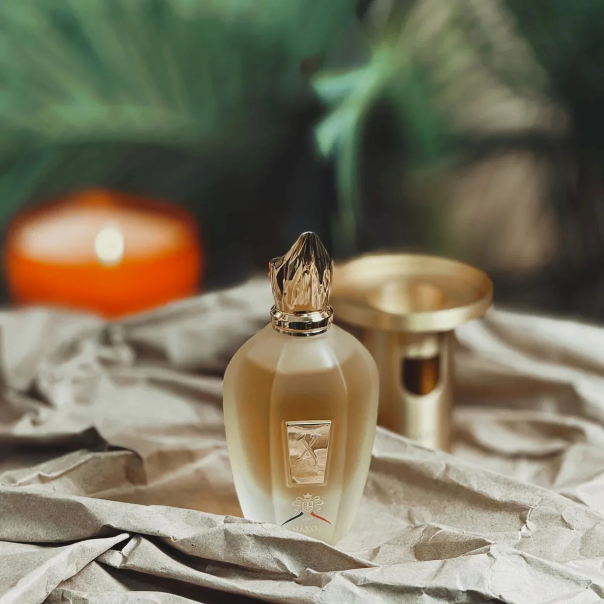 Best Men's Fall Colognes 2026: 7 Top Picks That Last [Tested] | Off The ...